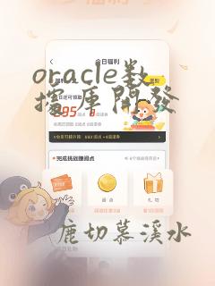 oracle数据库开发
