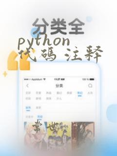 python 代码 注释