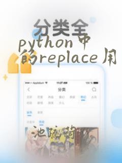 python中的replace用法