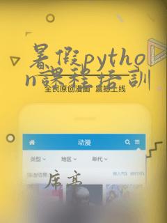 暑假python课程培训