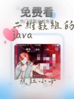 二维数组的定义java