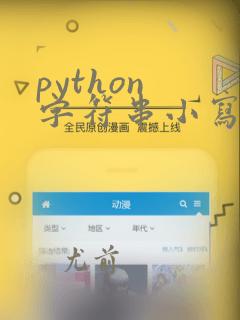 python 字符串小写