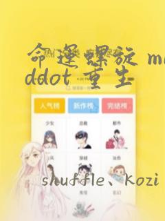 命运螺旋 middot 重生