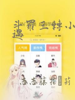 斗罗玉转小舞奇遇：结局+番外