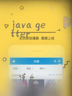 java getter