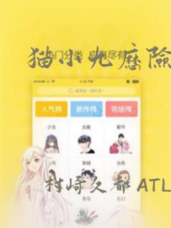 猫小九历险记：结局+番外