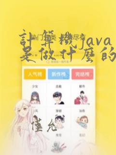 计算机java是做什么的