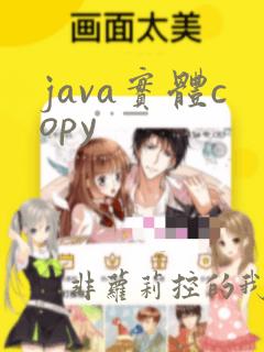 java实体copy