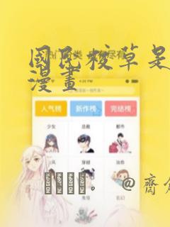 忍者神龟有几部