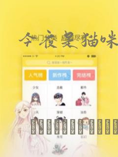 今夜是猫咪酱：结局+番外