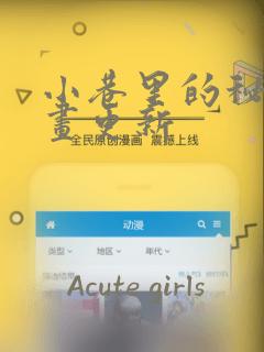 小巷里的秘密漫画更新