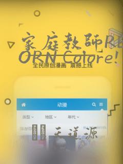 家庭教师REBORN Colore! 画集：结局+番外