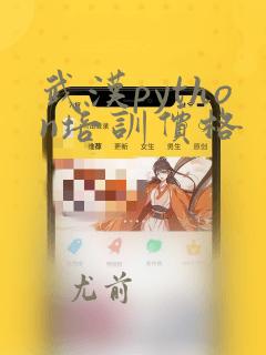 武汉python培训价格