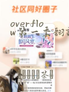 overflow第一季翻译漫画：结局+番外