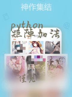 python 矩阵加法