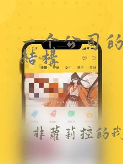 一个公司的组织结构