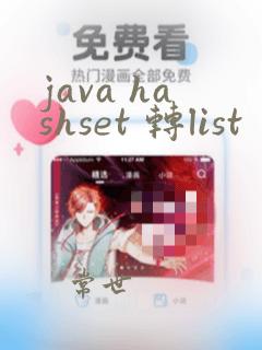 java hashset 转list