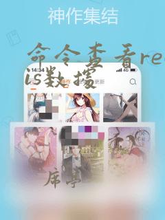 命令查看redis数据