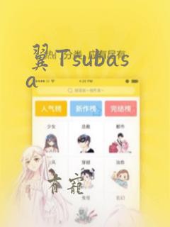 翼Tsubasa：结局+番外