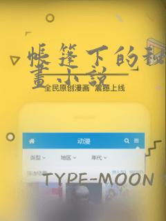 帐篷下的秘密漫画小说：结局+番外