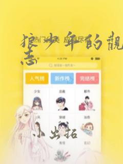 狼少年的观察日志