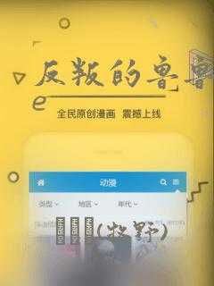 反叛的鲁鲁修Re：结局+番外