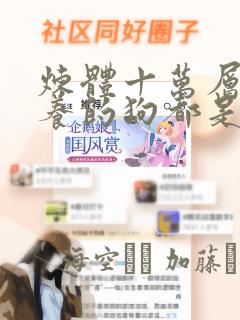 团队信任的句子经典