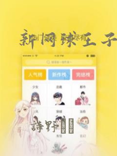 新网球王子：结局+番外
