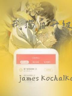 我独自升级：结局+番外