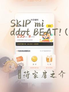 SKIP middot BEAT! (华丽的挑战)