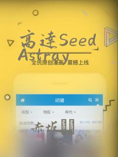 高达Seed Astray：结局+番外