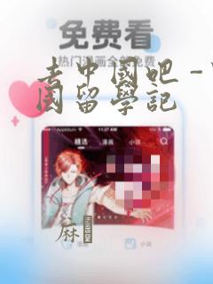 去中国吧 -中国留学记：结局+番外