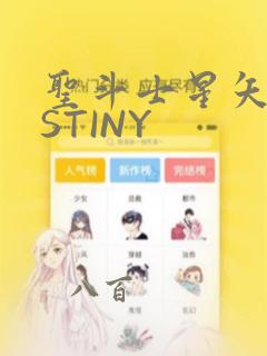 圣斗士星矢DESTINY