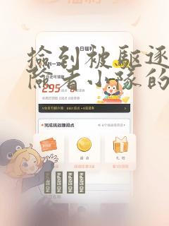 捡到被驱逐出冒险者小队的回复术士少女、培养后竟转职