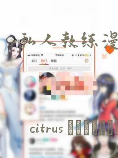 飞极速在线播放link