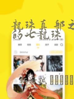 龙珠真 那之后的七龙珠：结局+番外