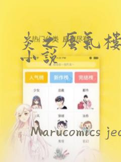 炎之蜃气楼-轻小说