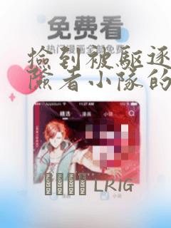 setlinux免费阅读