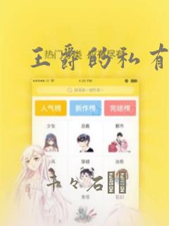 王爵的私有宝贝：结局+番外