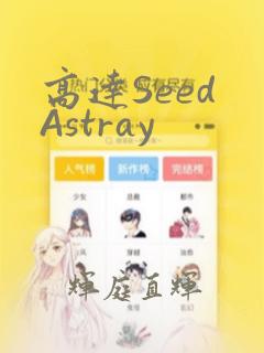 高达Seed Astray