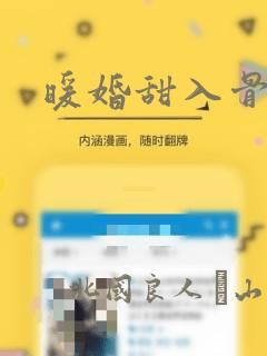 暖婚甜入骨漫画
