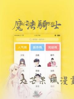 魔法骑士