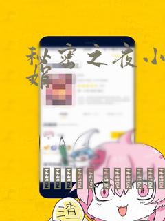 秘密之夜小说小娟
