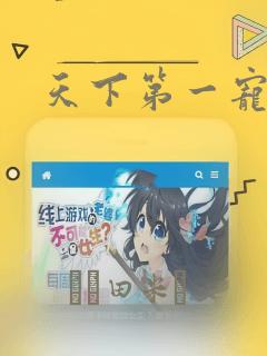 天下第一宠漫画：结局+番外