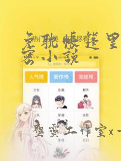 免耽帐篷里的秘密小说