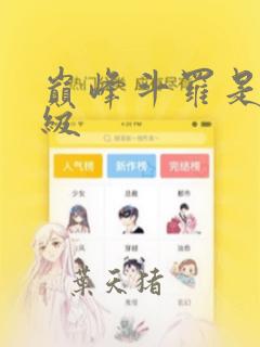 巅峰斗罗是多少级