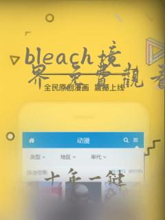 bleach境界 免费观看全集