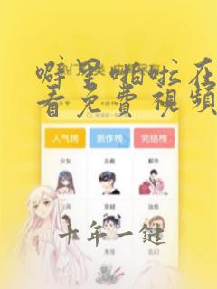 噼里啪啦在线观看免费视频