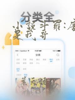 小说斗罗:唐三是我哥
