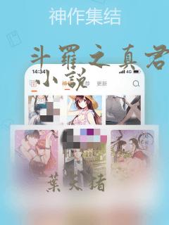 斗罗之真君显圣 小说
